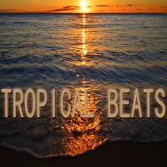 TROPICAL BEATS | BeatStars Profile