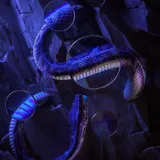 User profile image