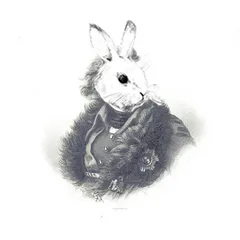 Tom Rabbit | BeatStars Profile