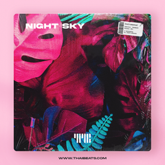 Night Sky (Pop, UK Garage Type Beat)