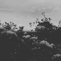 Narkoh Made It | BeatStars Profile