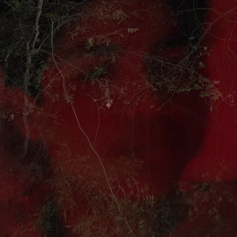 Dead Future By Leadlickerz