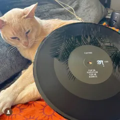 Track cover Image
