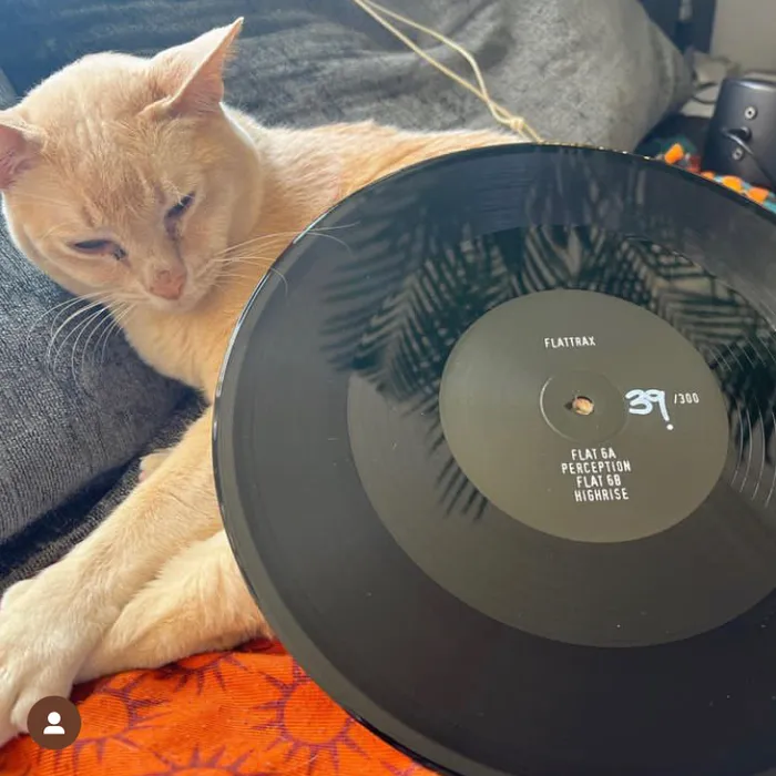 Track Cover Image