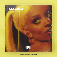 Malibu (Afrobeat, Doja Cat x Wizkid Type Beat)