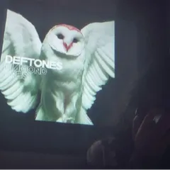 Track cover Image