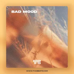 Bad Mood (Reggaeton, Latin Type Beat)