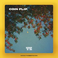 Coin Flip (R&B Hip-Hop, Drake Type Beat)