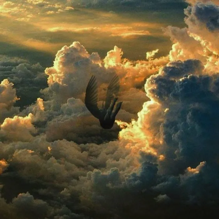 Track Cover Image