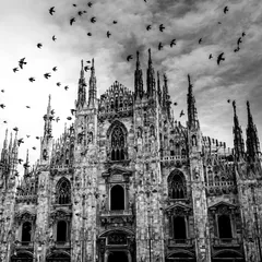 Track 🟥-90%🟥 Madhouse (trap hip hop boom bap /Bpm 120 Cmin)