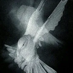 Track cover Image
