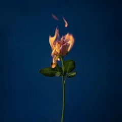 Track cover Image