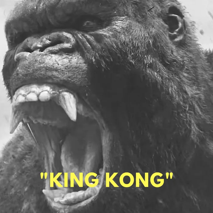 Track Cover Image