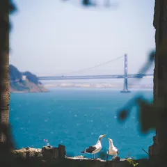 Track cover Image