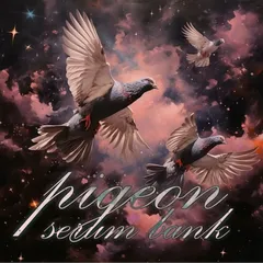 Sound kit cover Image