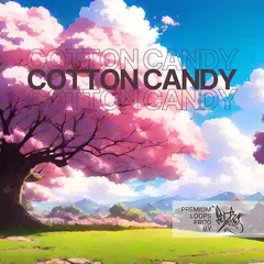 Sound kit cover Image