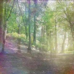 Sound kit cover Image