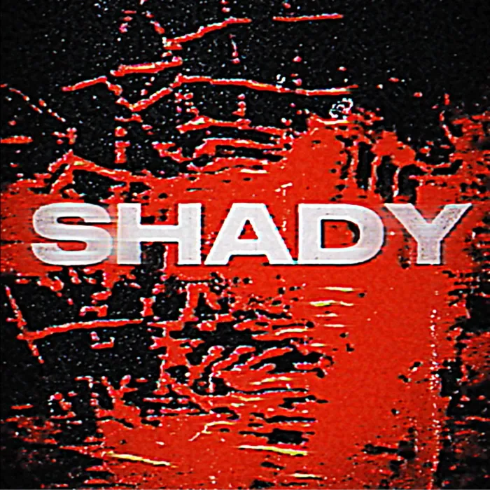 SHADY MULTI-KIT (JAPAN) by japan - Sound Kit